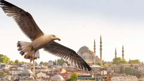 S&P, Türkiye sigorta sektörü güçlenince Milli Re'nin notunu yükseltti