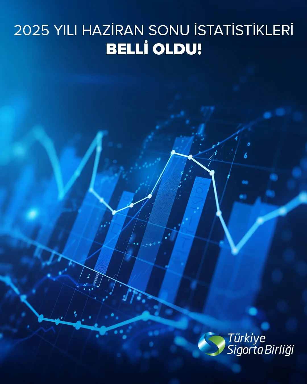 TSB afişi: 2025 Haziran sonu istatistikleri, soyut mavi grafik görseli