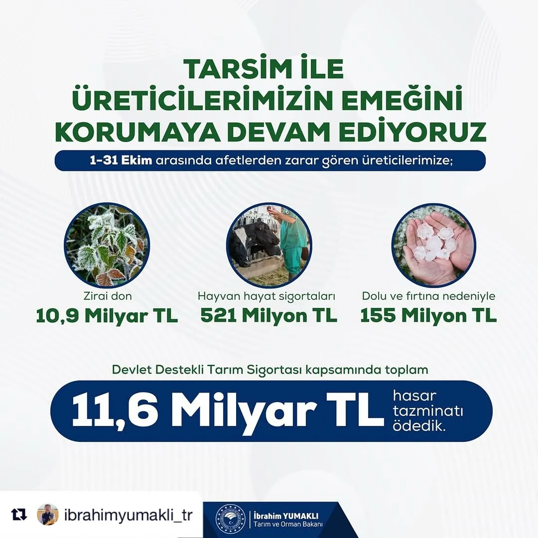 TARSİM tazminat infografiği: zirai don, hayvan ve dolu hasarı, toplam 11,6 milyar TL