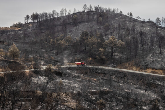 Firefighters in Europe worry about readiness for wildfires amid ongoing staffing and training challenges.